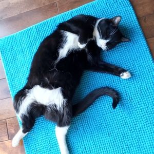 Meet your Posher, Lucy